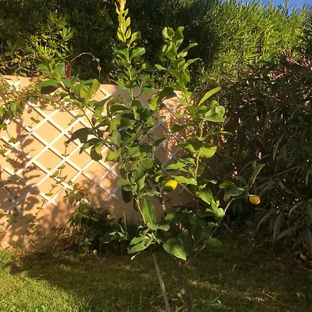 Du Palais -classe 4 Etoiles - Axelle Loc'appart דירה מאנדליה-לה-נאפול