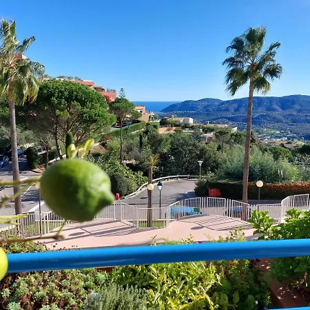Appartement Du Palais -classe 4 Etoiles - Axelle Loc'appart Mandelieu